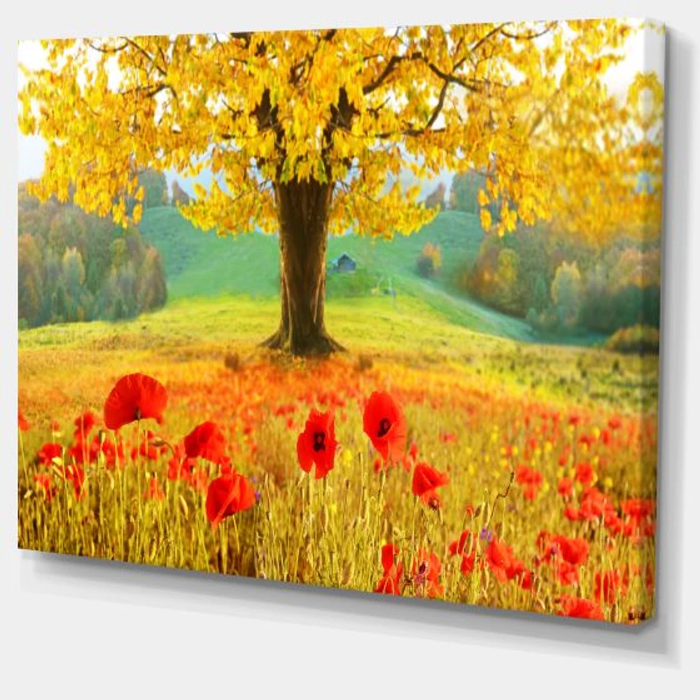 Beautiful Autumn Yellow Tree  Wall Art