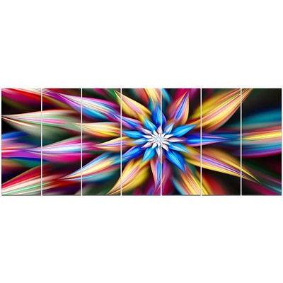 Exotic Multi Color Flower Petals  Wall Art