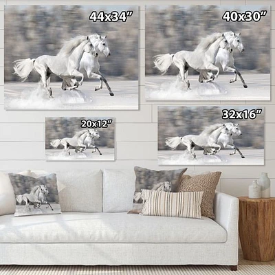 Toile « Two White Horse »