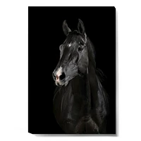 Toile « Black Horse darkness »