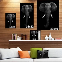 Toile « African Elephant »