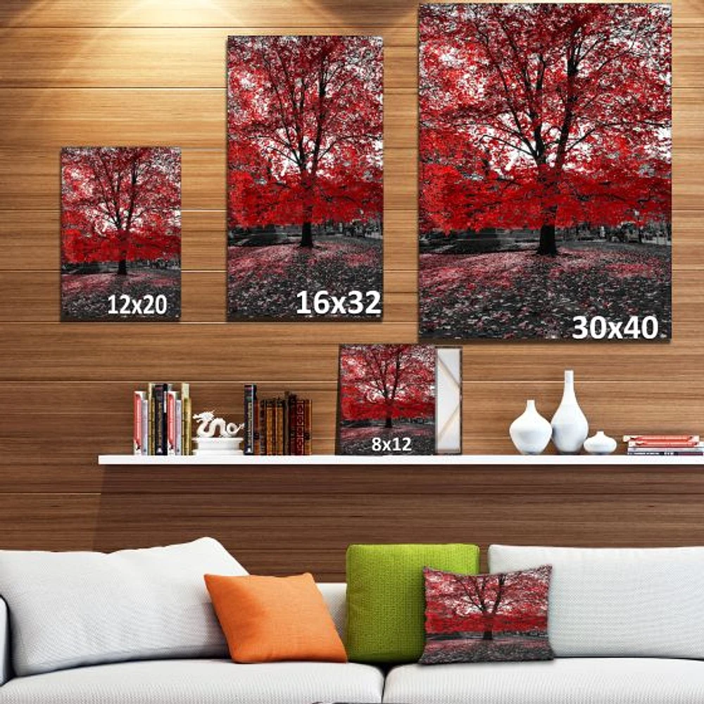 Toile « Red Tree Central Park »