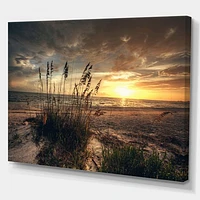 Grassy and Beach Sunset  Wall Art Canvas