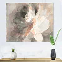 Abstract Peony Grey Pink Canvas