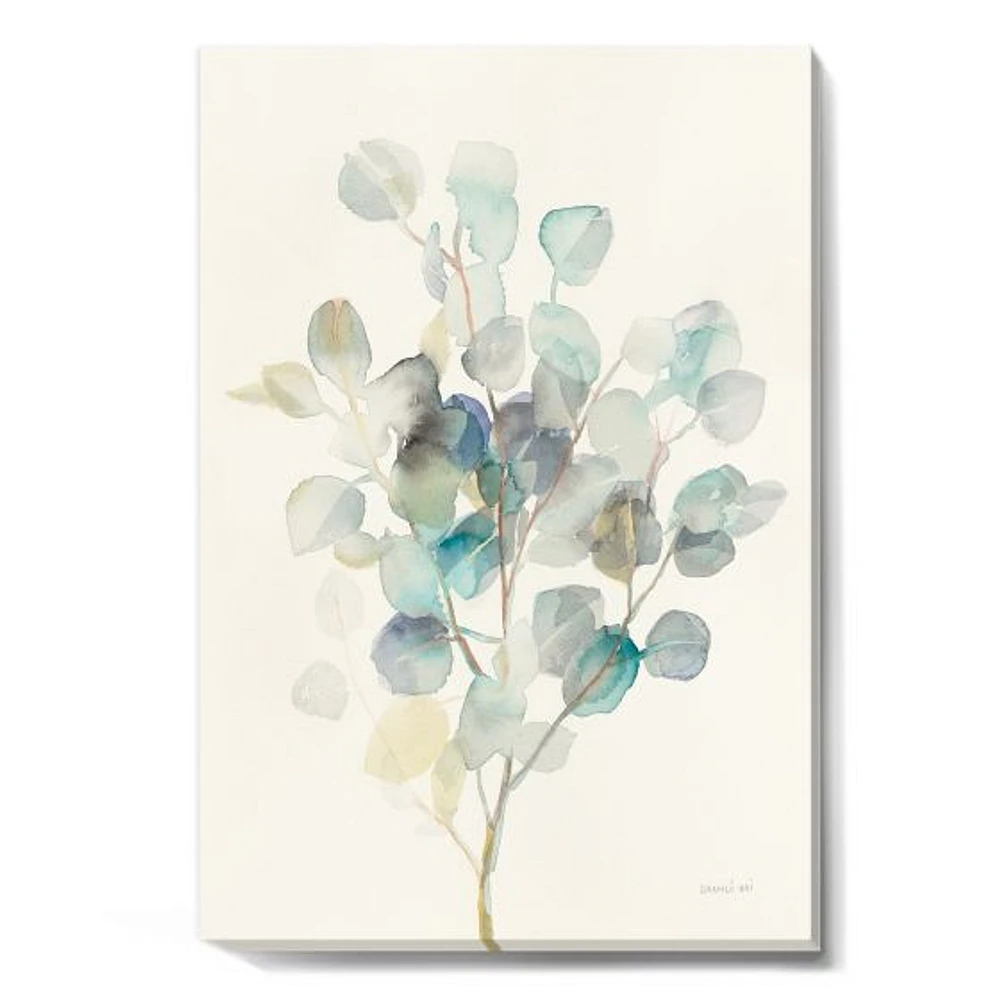 Eucalyptus Leaves I  Canvas Wall Art