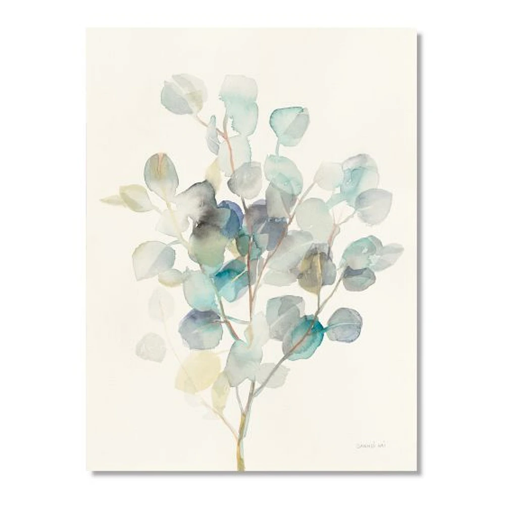 Eucalyptus Leaves I  Canvas Wall Art