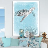 Toile « Coastal Sea Life I Turtle sketches »