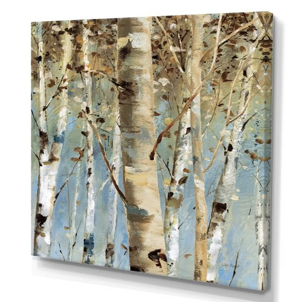 White Birch Forest II  Canvas Wall Art