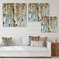 White Birch Forest II  Canvas Wall Art