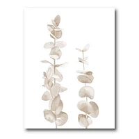 Beige Eucalyptus Branches on White  Wall Art