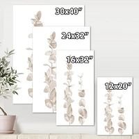 Beige Eucalyptus Branches on White  Wall Art