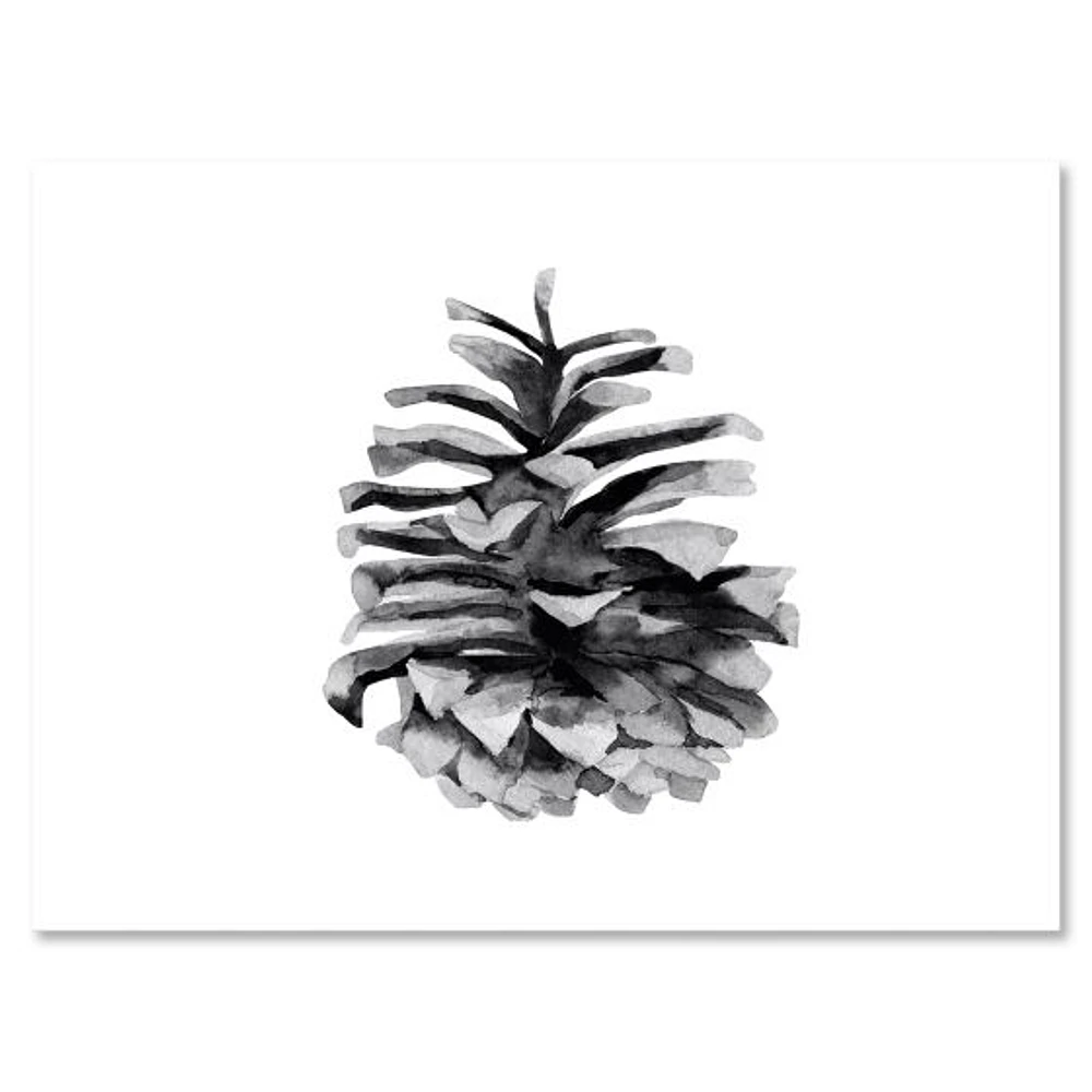 Toile « Conifer Cone Monochrome