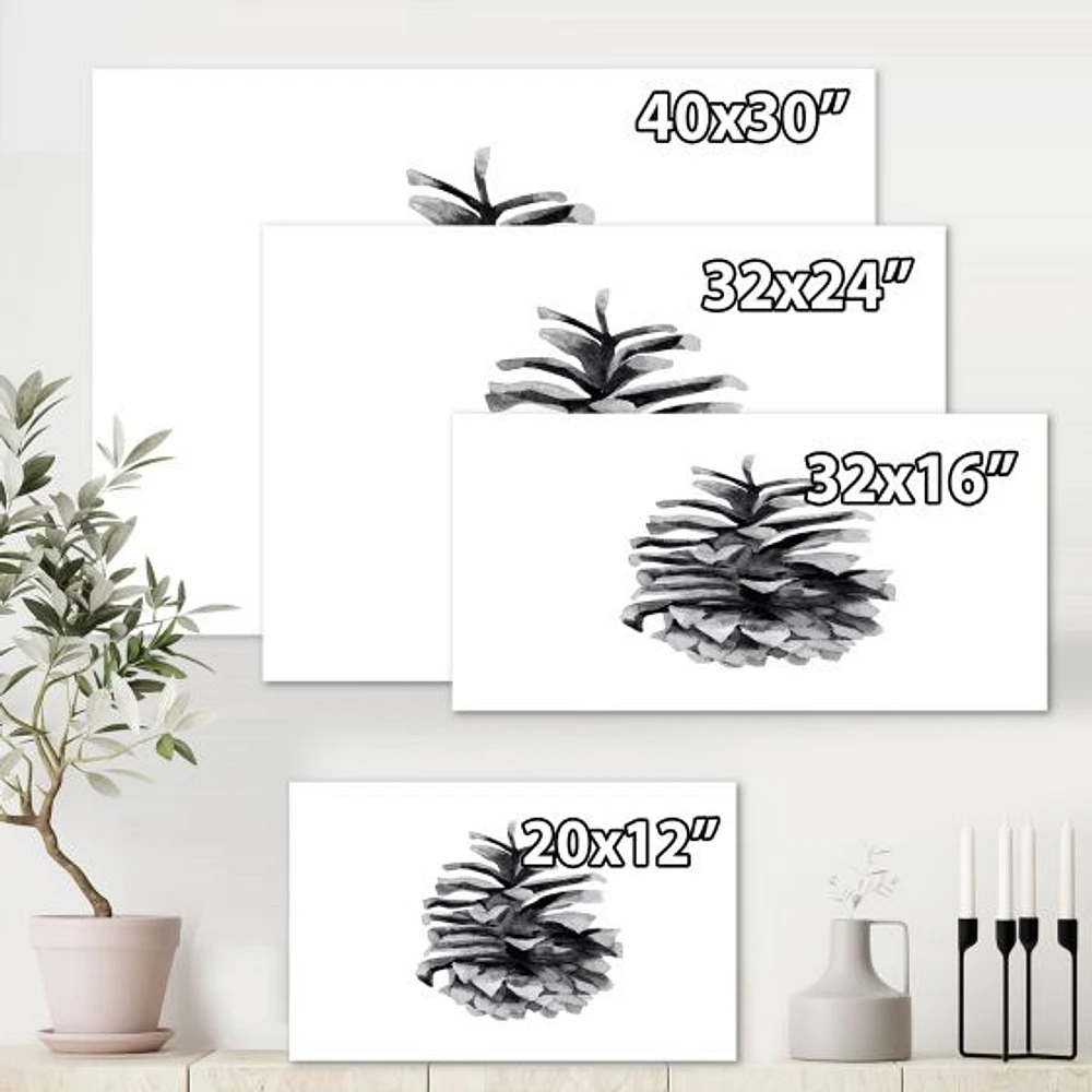 Toile « Conifer Cone Monochrome