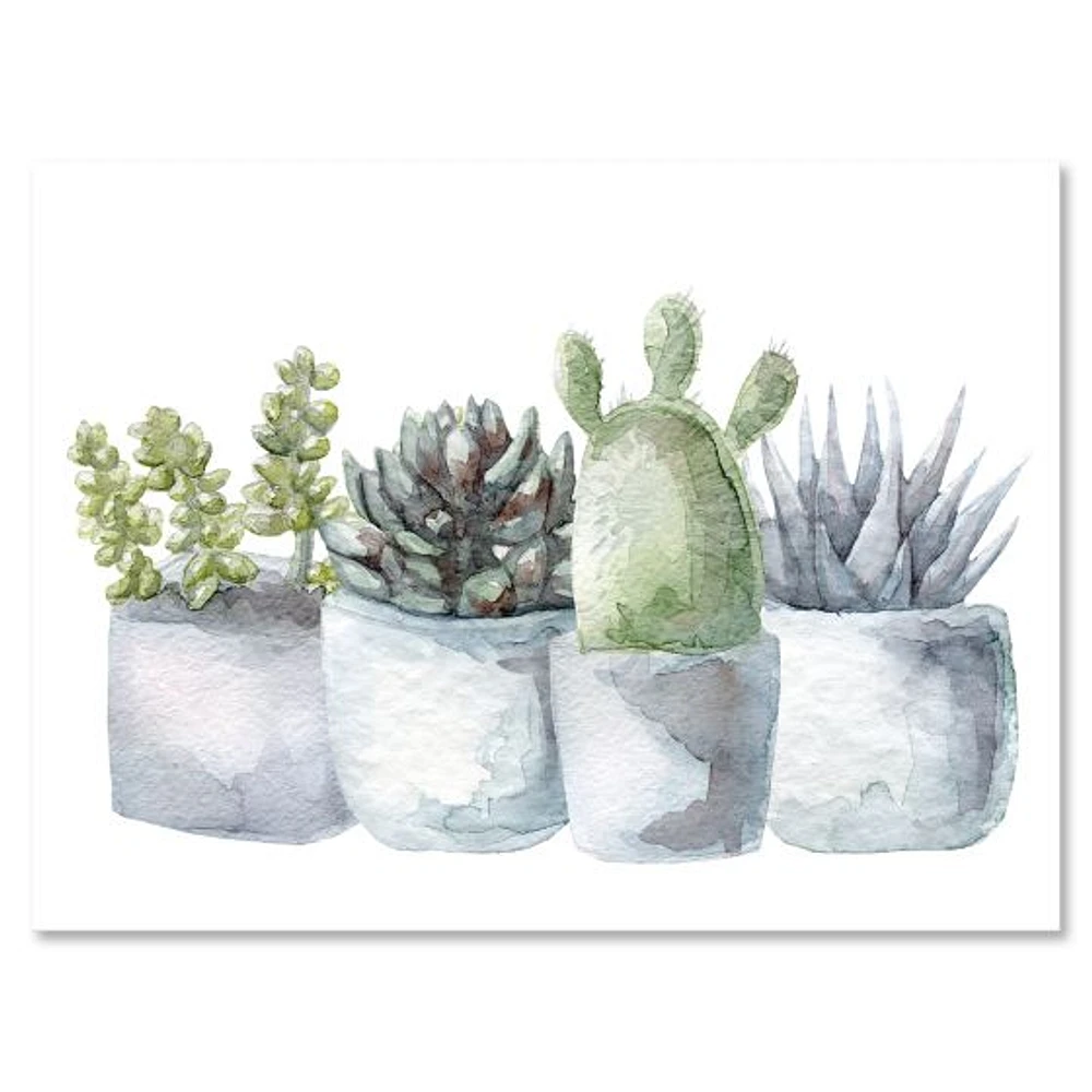 Toile « Cactus and Succulent House Plants I