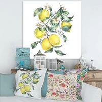 Toile « Branch of Yellow Lemons and Leaves I