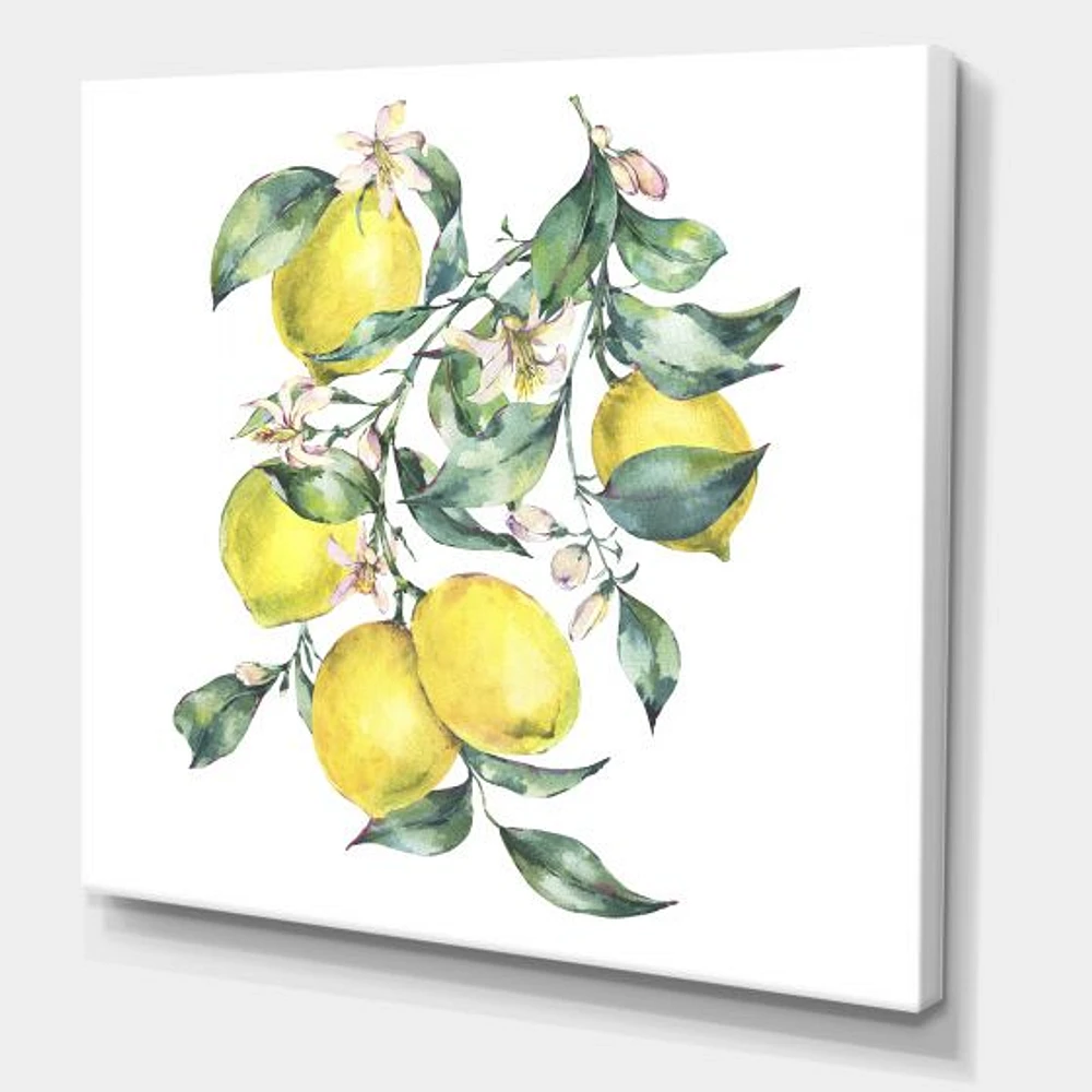 Branch of Yellow Lemons and Leaves I  Wall Art