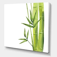 Bamboo Branches The Forest V  Wall Art