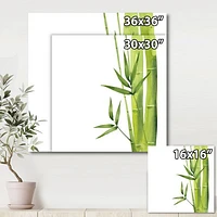 Bamboo Branches The Forest V  Wall Art