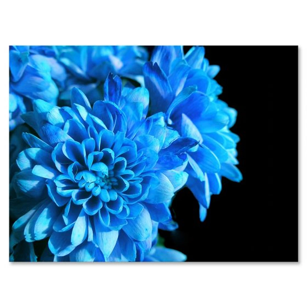 Detail of Blue Flowers on Black I  Wall Art