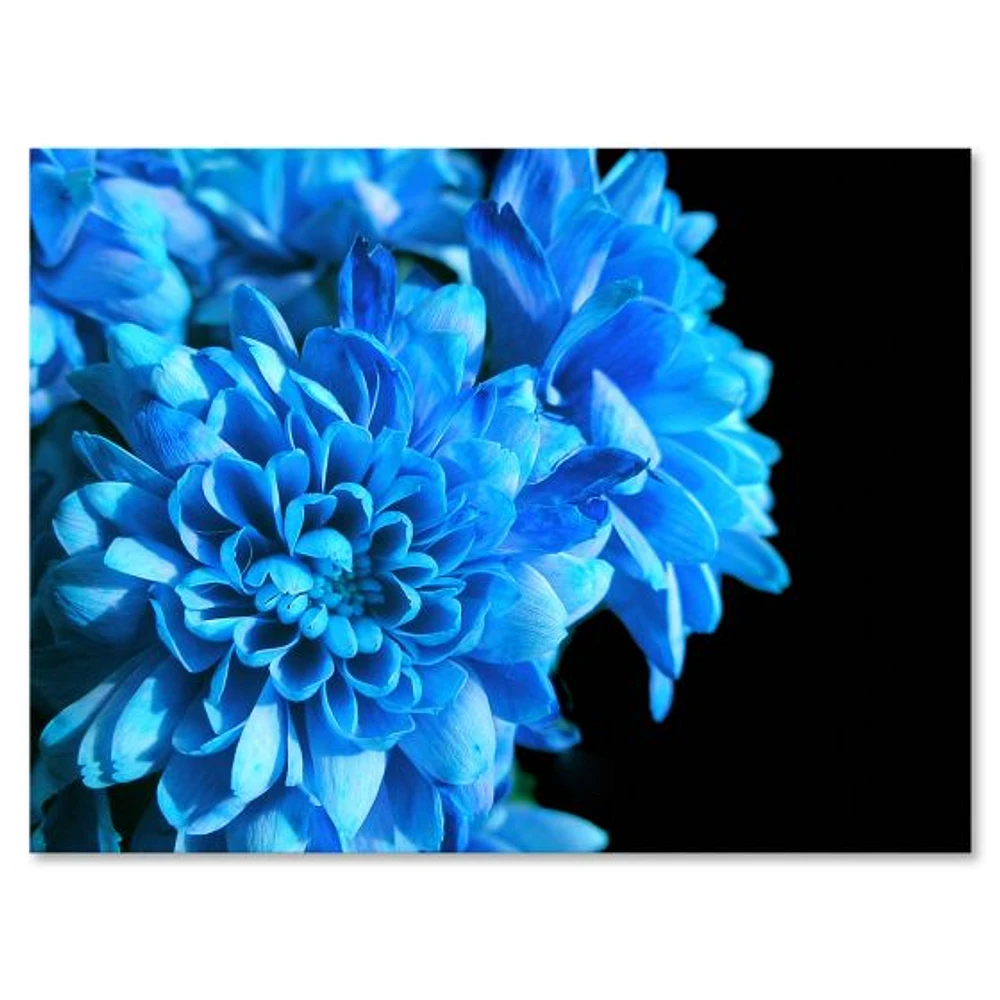 Detail of Blue Flowers on Black I  Wall Art