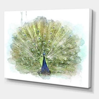 Peacock Bird  Wall Art