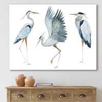 Toile « Heron Birds II