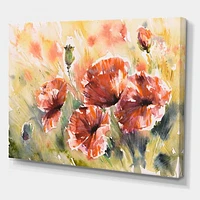 Red Poppy on A Field  Wall Art