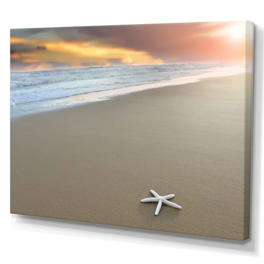 Starfish on a Beach Canvas Wall Art Print