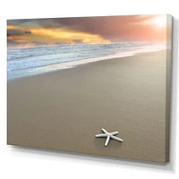 Starfish on a Beach Canvas Wall Art Print