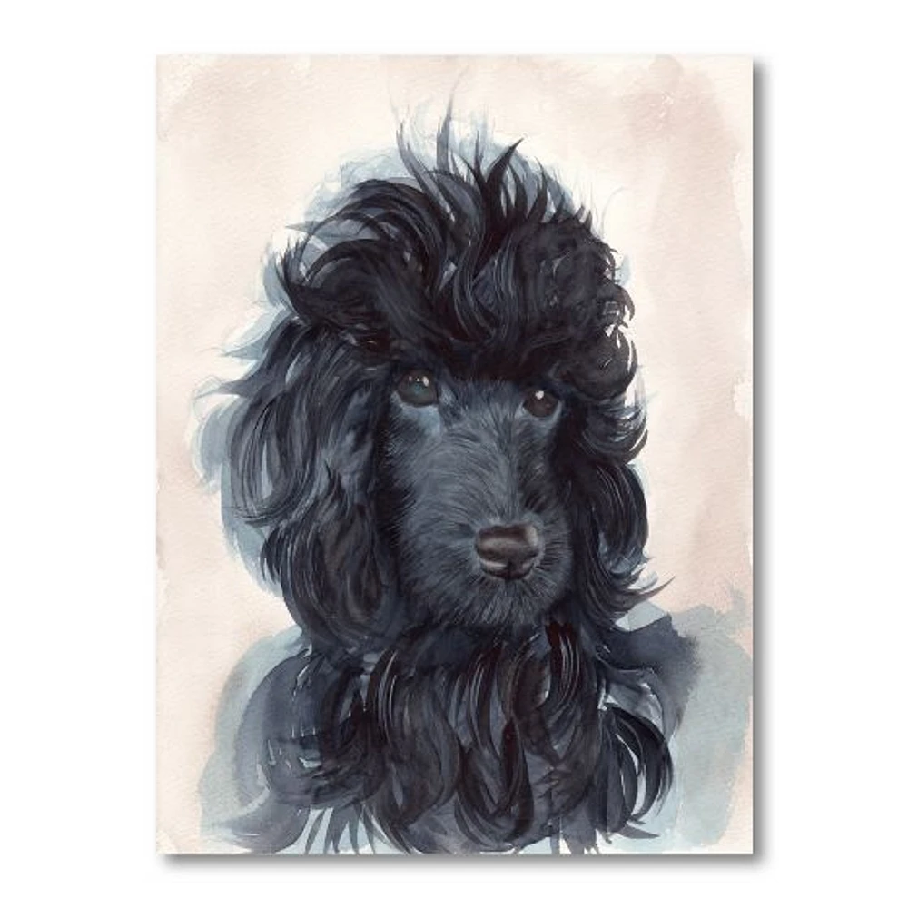 Toile imprimée « Portrait of The Black Poodle Puppy with Curly Coat »