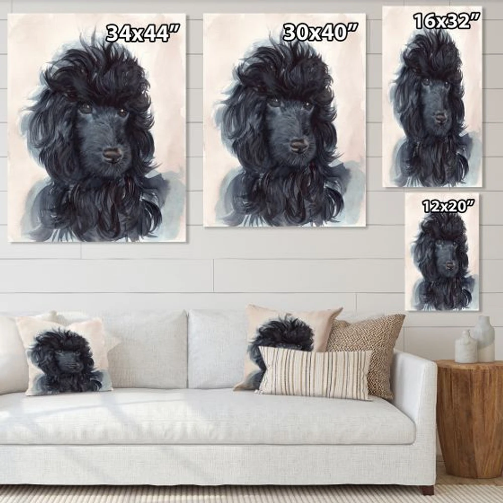 Toile imprimée « Portrait of The Black Poodle Puppy with Curly Coat »