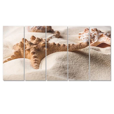 Close Up of Starfish and Seashell on Light Sand Canvas Wall Art Print Panels