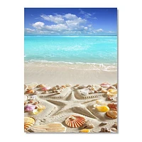 Caribbean Sea Starfish  Canvas Wall Art Print