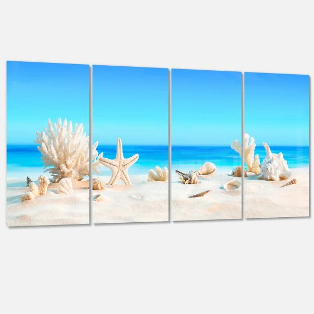 Seashells on Tropical  Canvas Wall Art