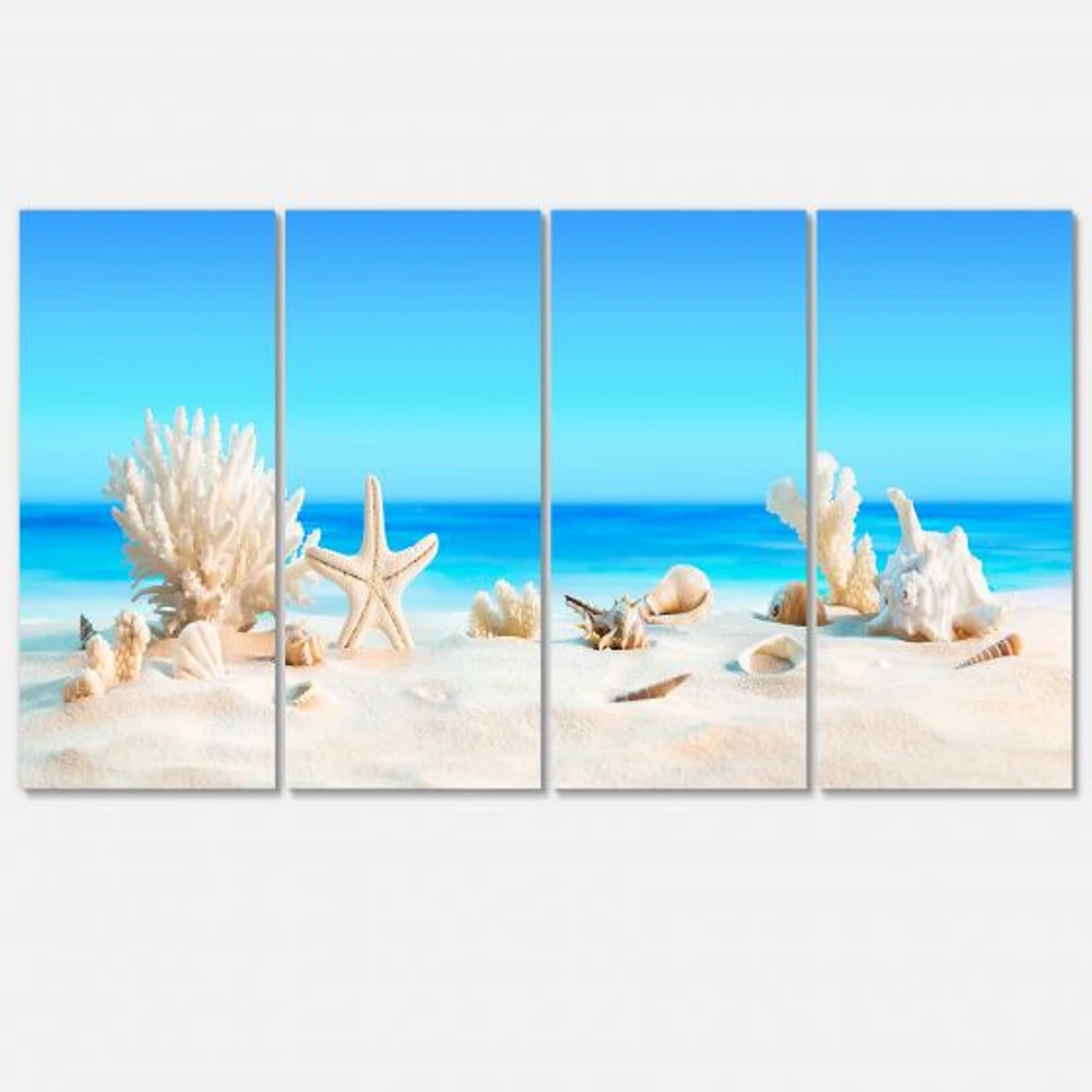 Seashells on Tropical  Canvas Wall Art