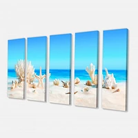 Seashells on Tropical  Canvas Wall Art