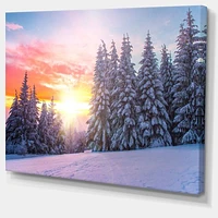 Toile « Winter Sunset Bulgaria