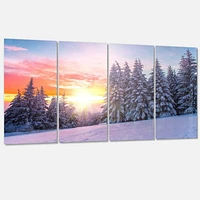 Winter Sunset Bulgaria  Canvas Wall Art