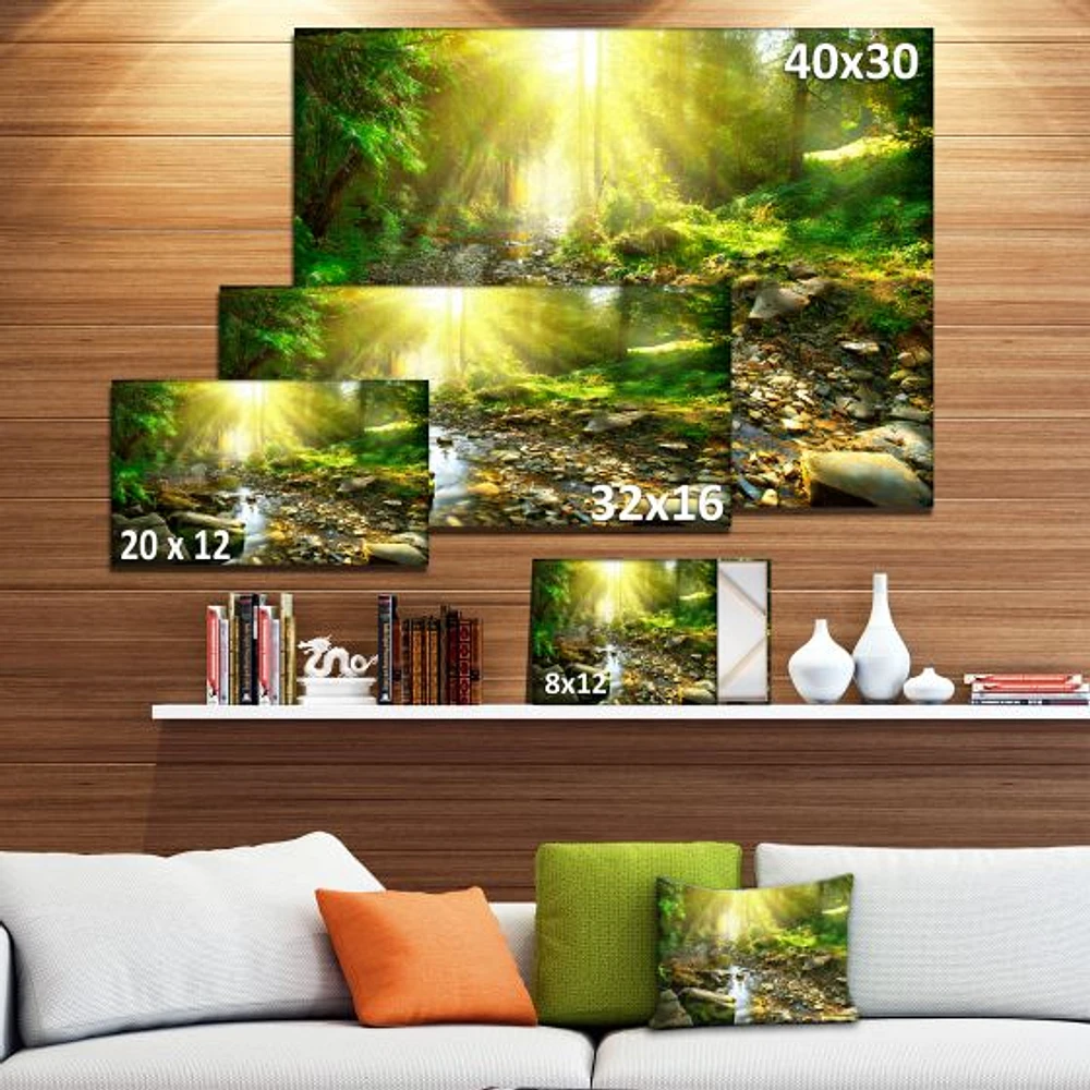 Mountain Stream Forest  Wall Art