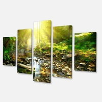 Mountain Stream Forest  Canvas Wall Art