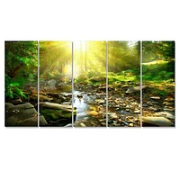 Mountain Stream Forest  Canvas Wall Art