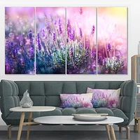 Growing and Blooming Lavender  Canvas Print