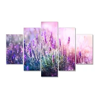 Growing and Blooming Lavender  Canvas Print