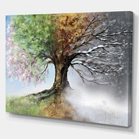 Four Seasons Tree Canvas Art Print