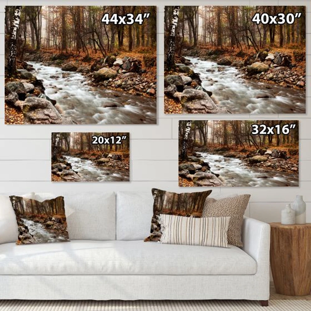 Stream Autumn Forest  Canvas Print