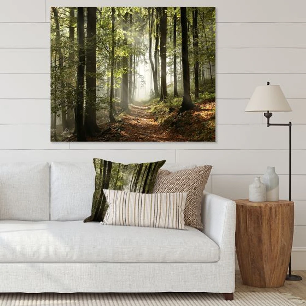 Toile imprimée « Green Fall Forest with Sun Rays »