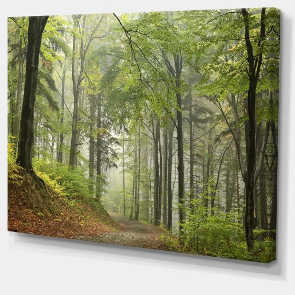 Toile « Green Beach Forest Pathway