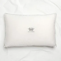 Oreiller 100% duvet blanc européen Royal Sovereign