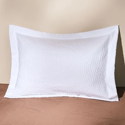 Safari Sham