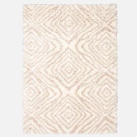 Agadir Shag Abstract Rugs